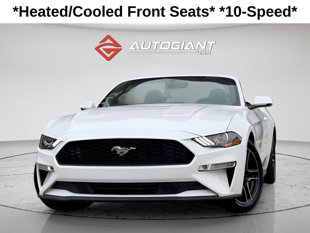 2019 FORD Mustang