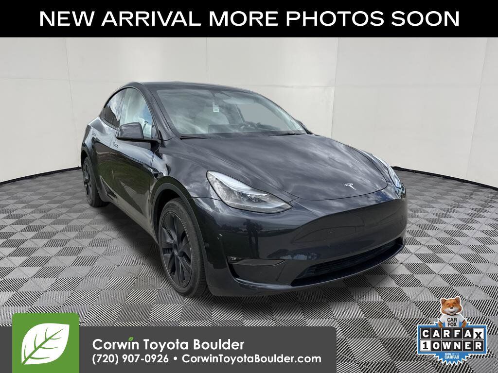 2024 TESLA Model Y