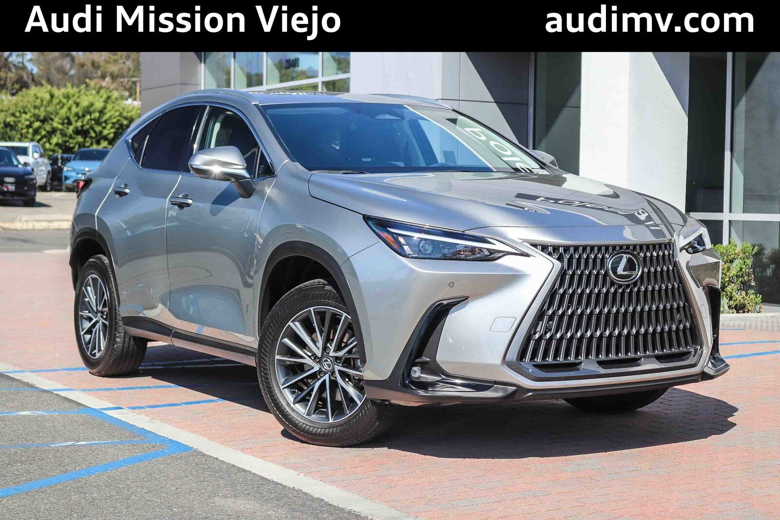 2024 LEXUS NX
