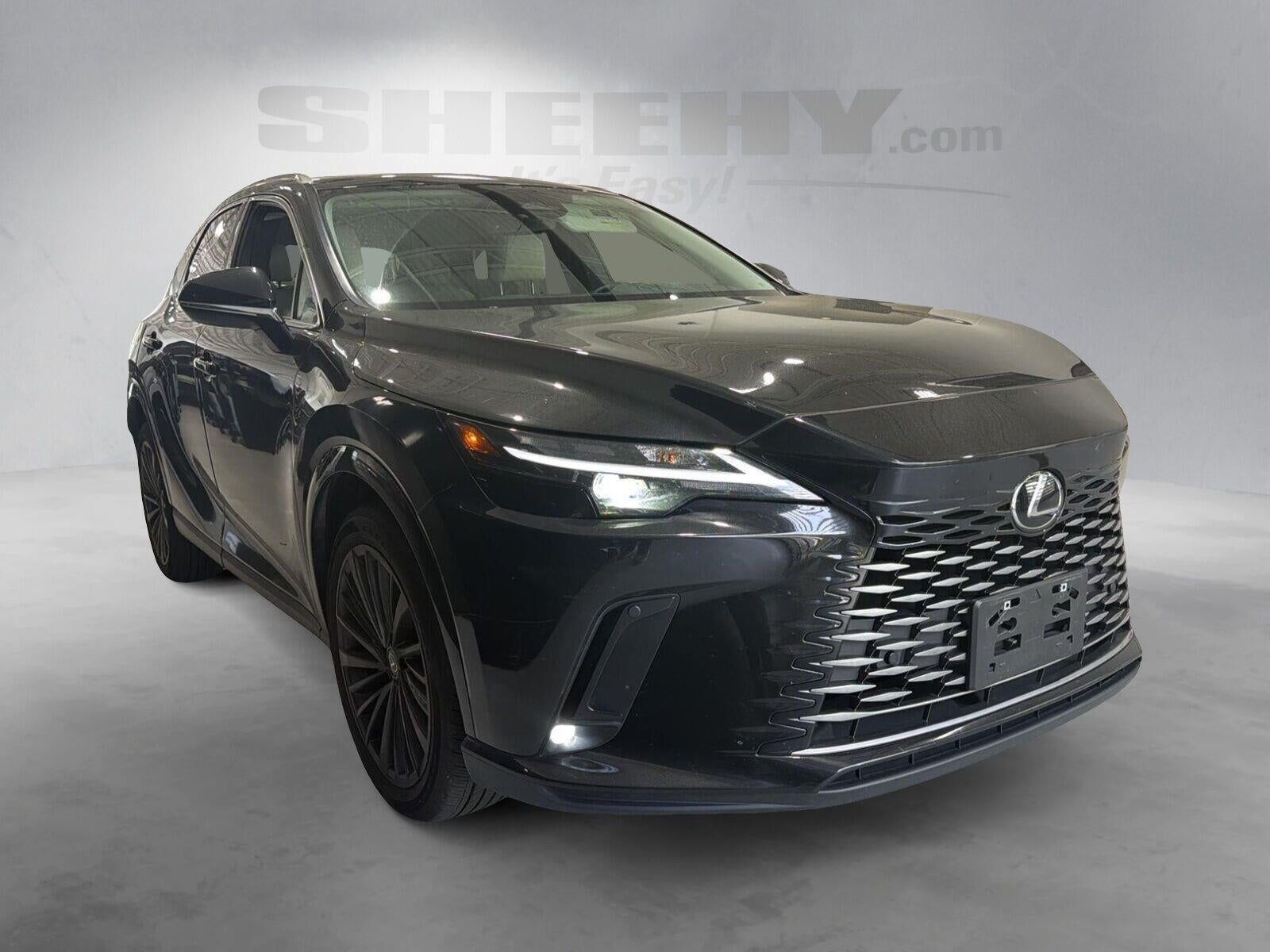 2024 LEXUS RX
