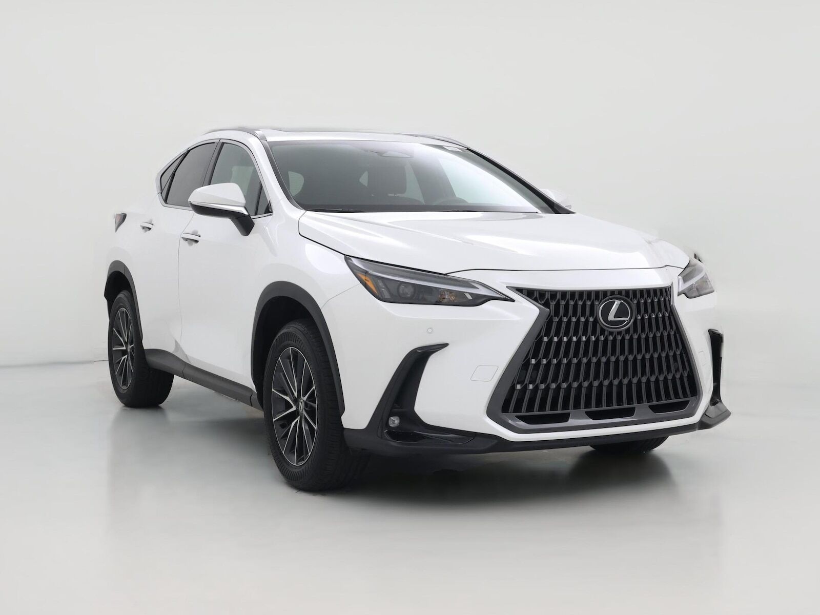 2024 LEXUS NX
