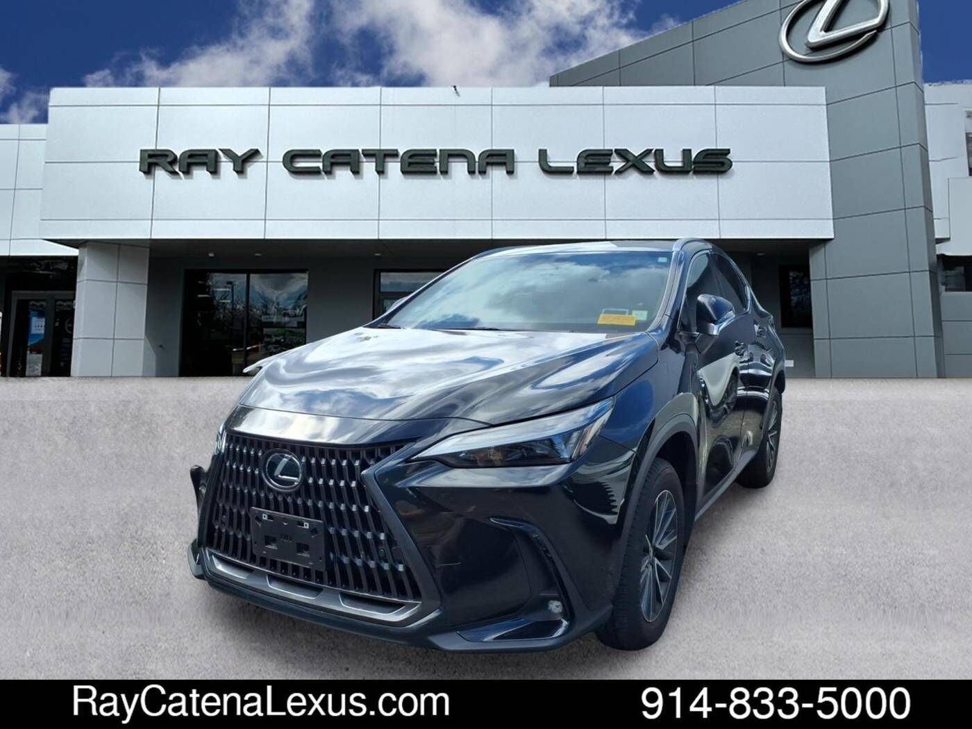 2024 LEXUS NX