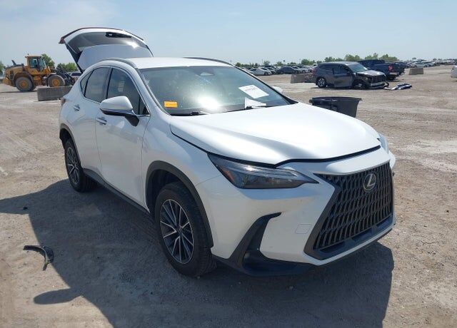 2024 LEXUS NX