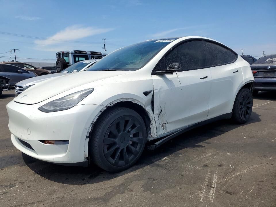 2021 TESLA Model Y