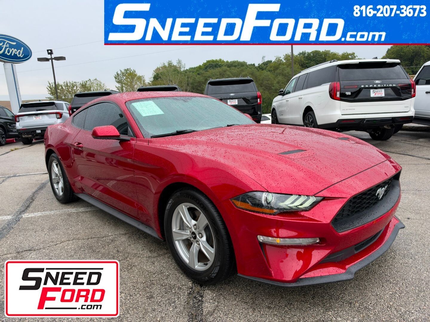 2020 FORD Mustang
