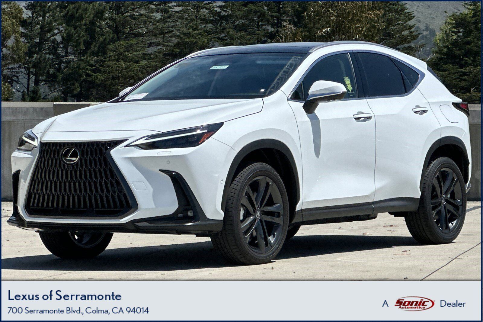 2026 LEXUS NX