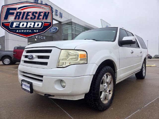 2010 FORD Expedition