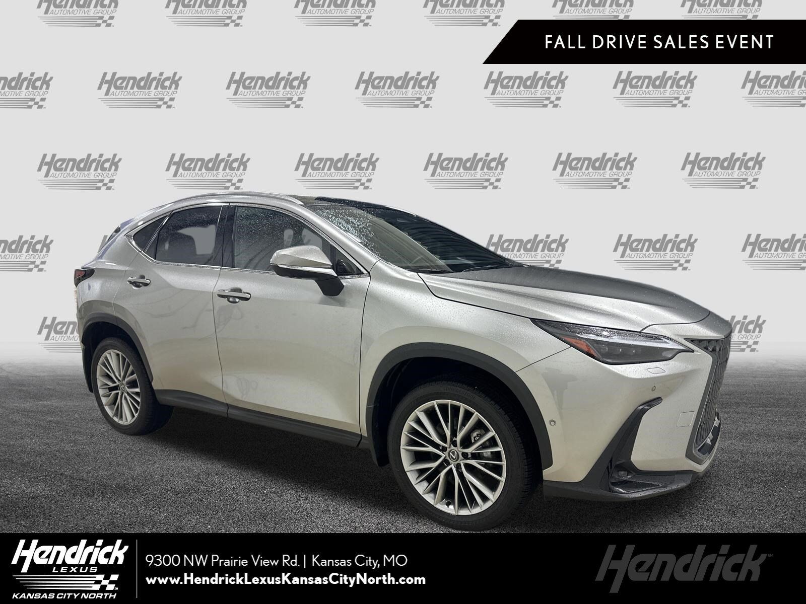 2025 LEXUS NX