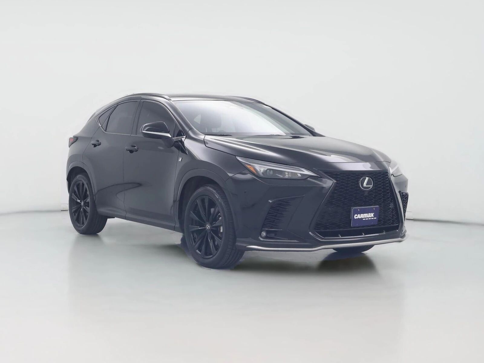 2024 LEXUS NX