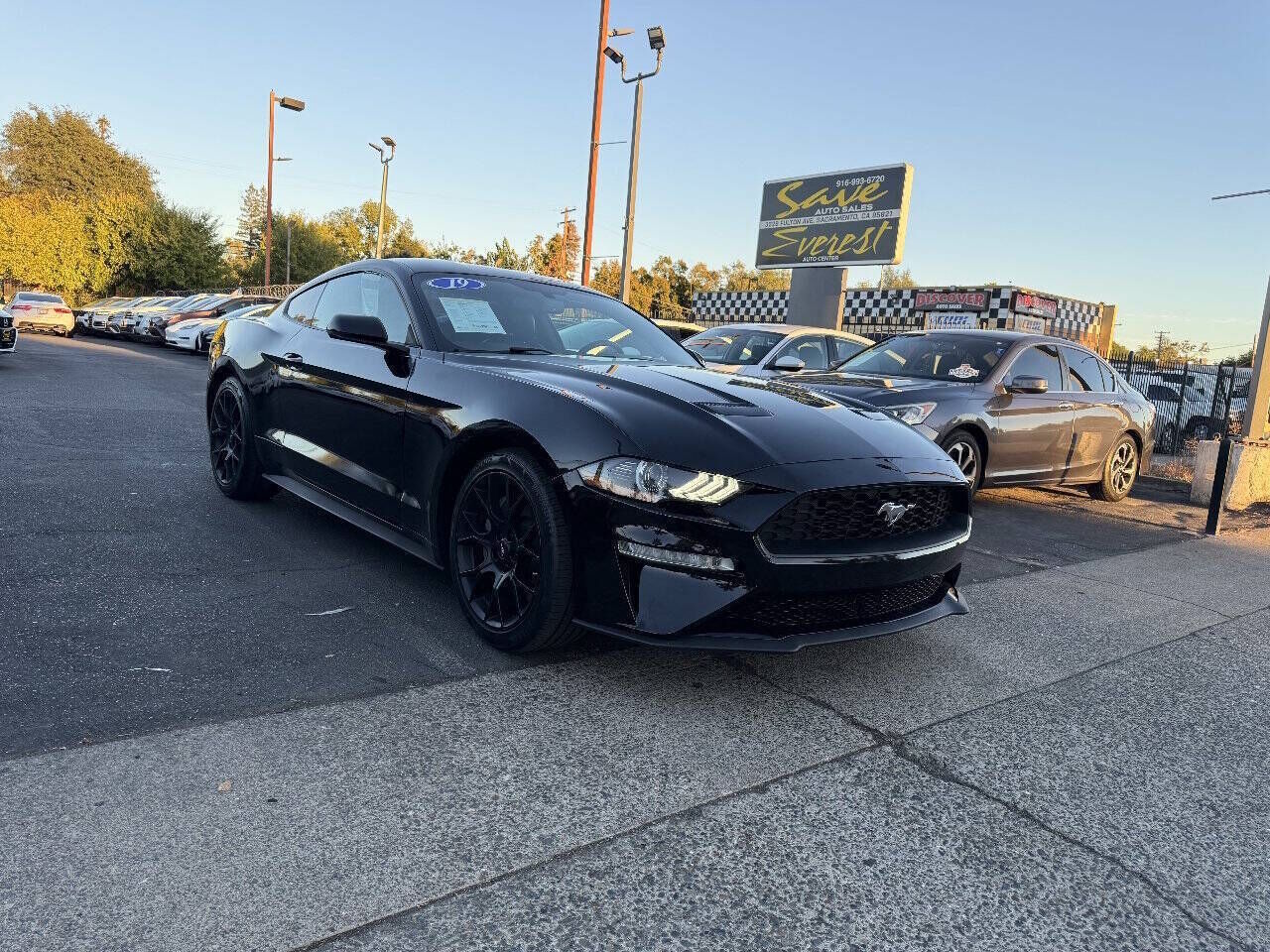 2019 FORD Mustang