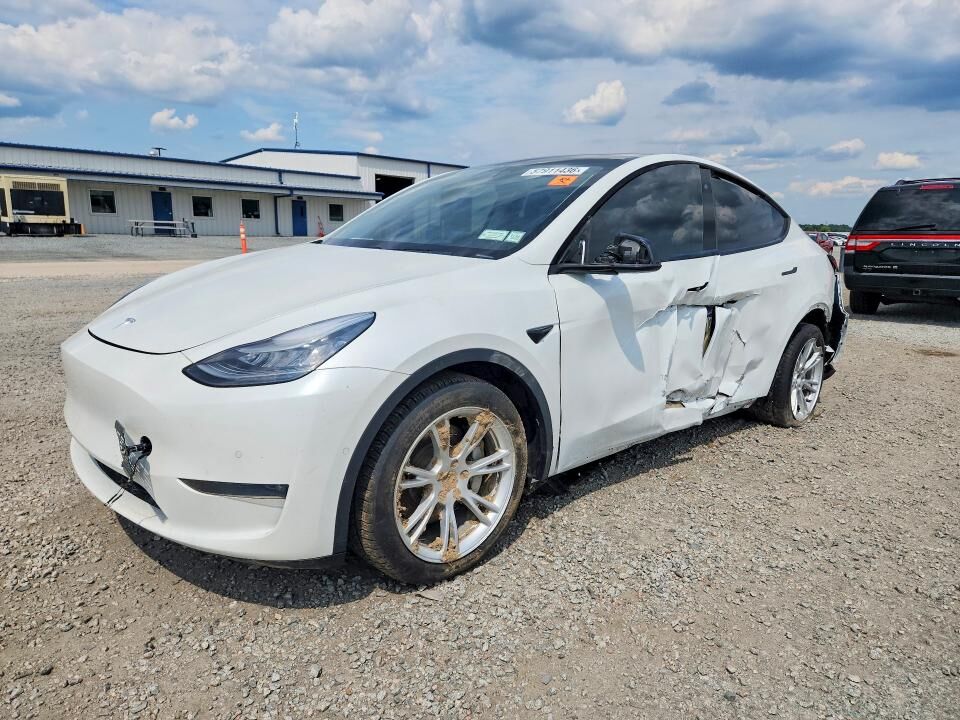 2020 TESLA Model Y