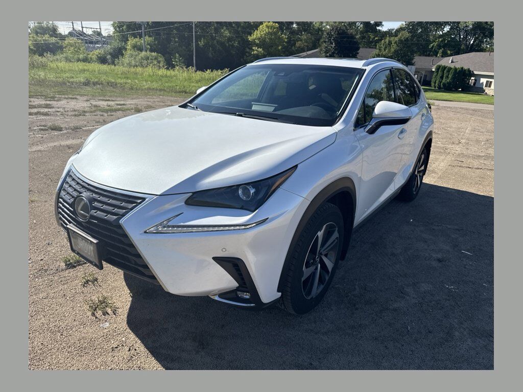 2019 LEXUS NX