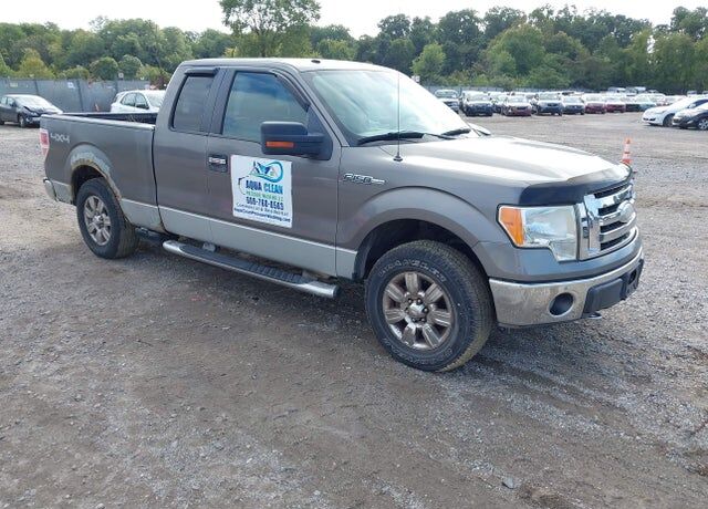 2009 FORD F-150