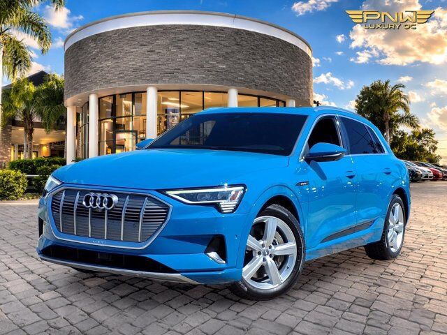 2019 AUDI e-tron