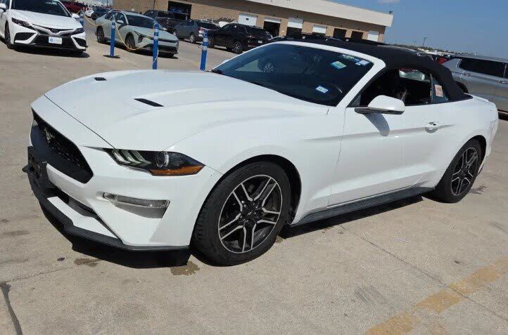2019 FORD Mustang
