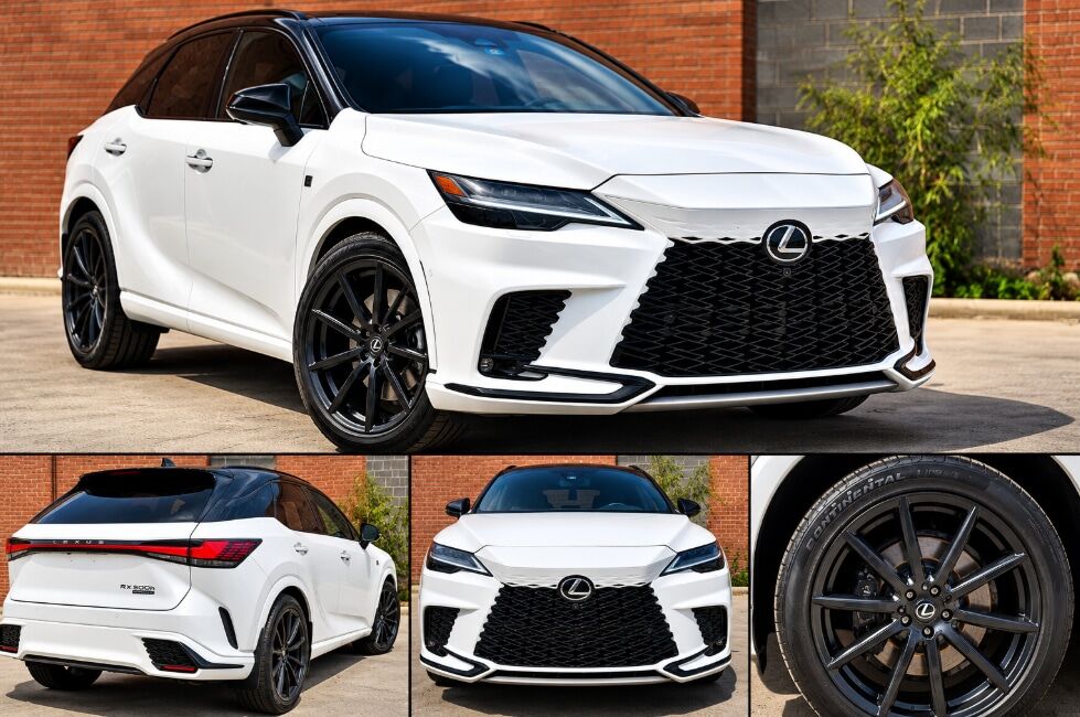2024 LEXUS RX