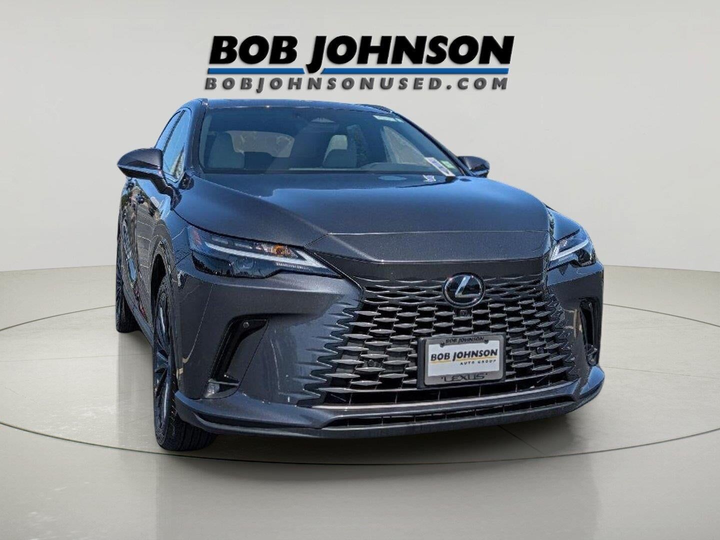 2025 LEXUS RX