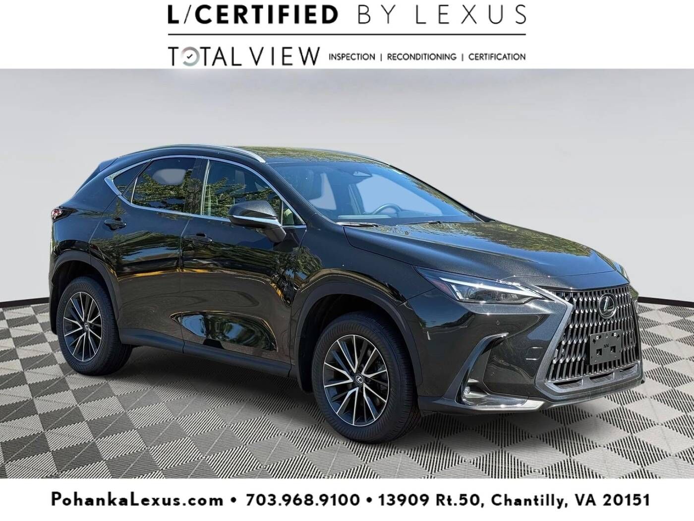 2024 LEXUS NX
