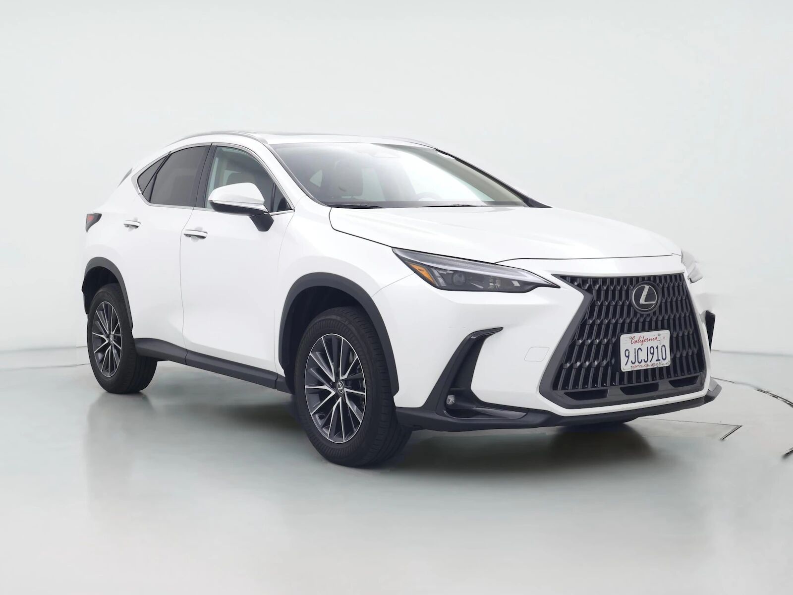 2024 LEXUS NX