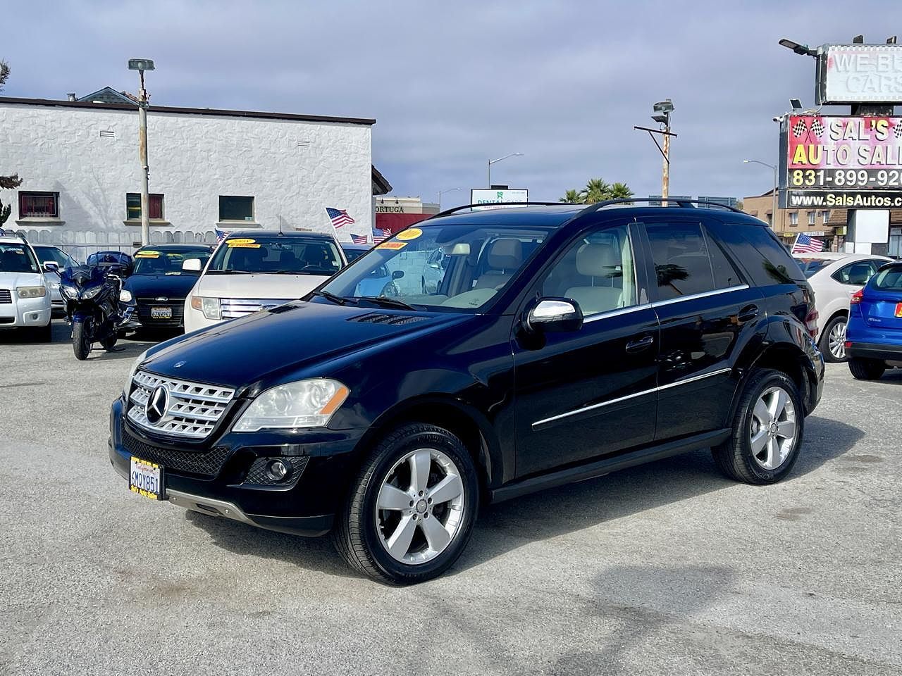 2010 MERCEDES-BENZ M-Class