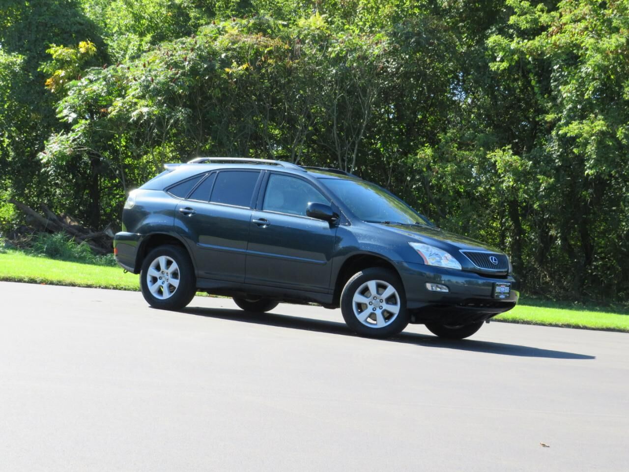 2007 LEXUS RX
