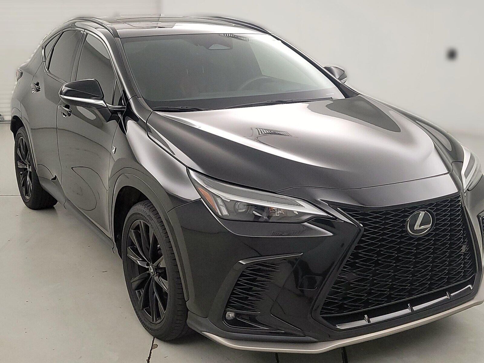 2024 LEXUS NX