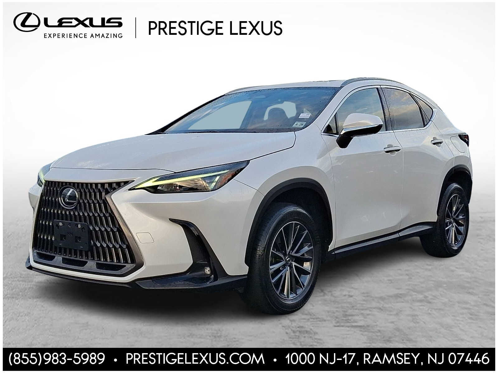 2024 LEXUS NX