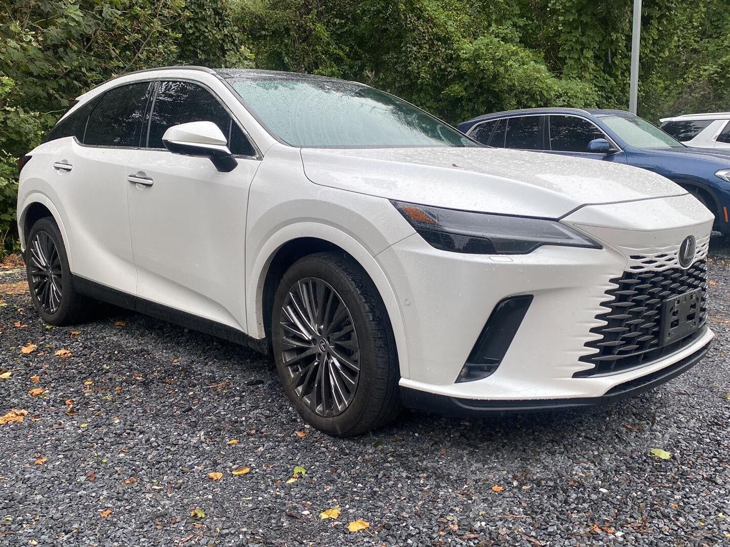 2024 LEXUS RX