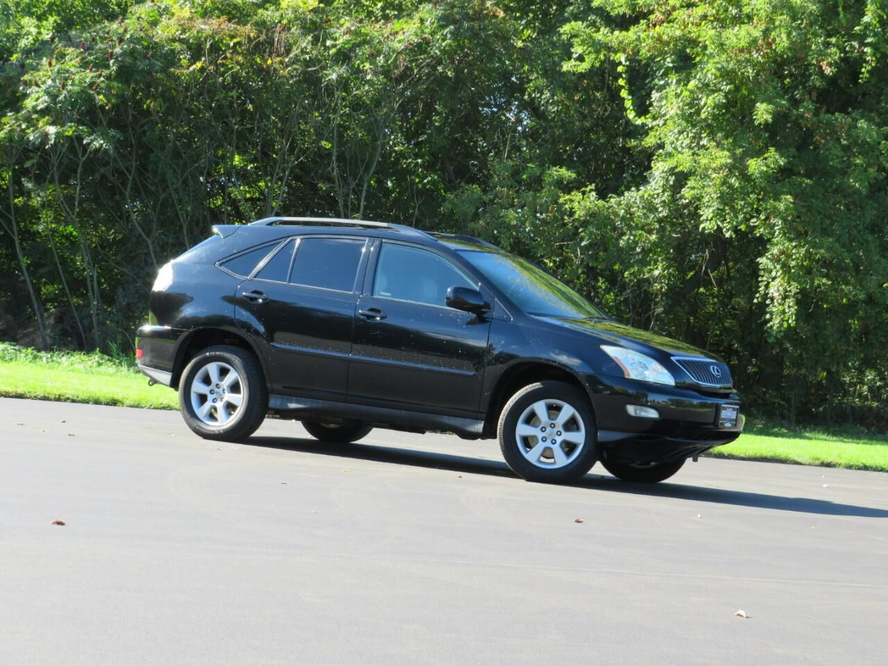 2007 LEXUS RX