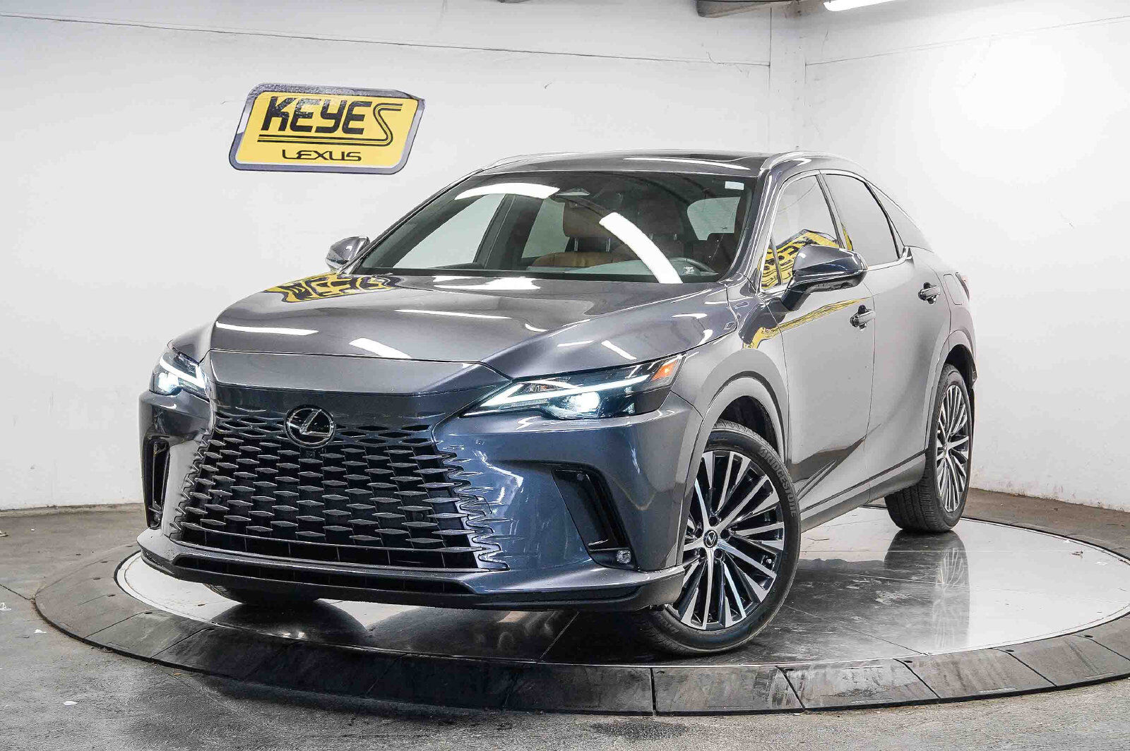 2025 LEXUS RX