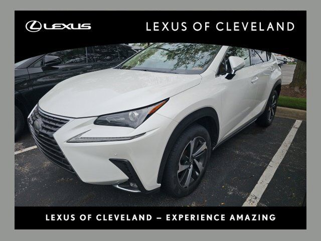 2019 LEXUS NX