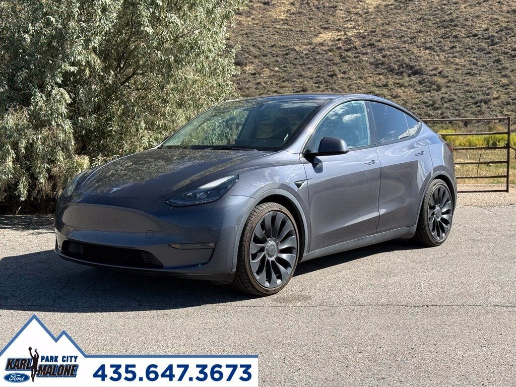 2022 TESLA Model Y