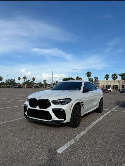 2023 BMW X6