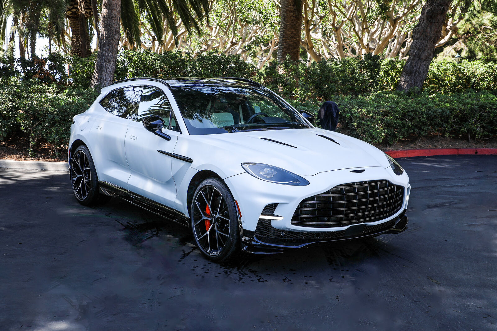 2025 ASTON MARTIN DBX