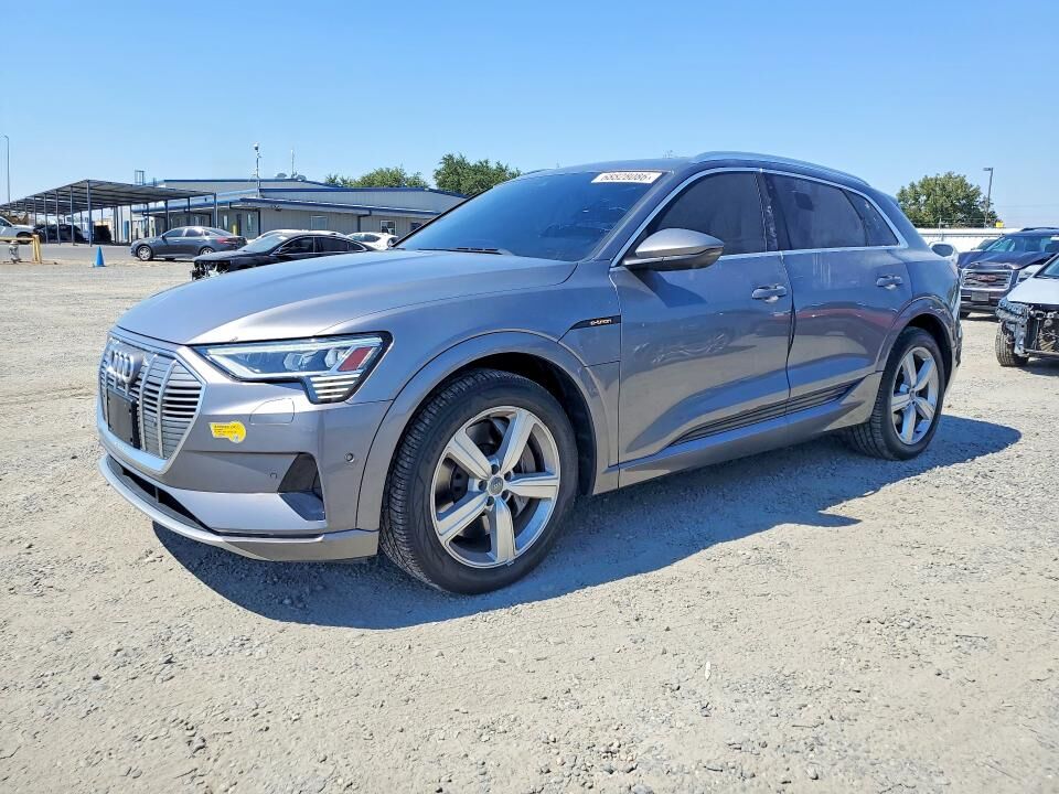 2019 AUDI e-tron