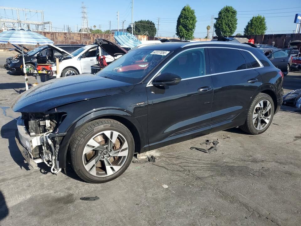 2022 AUDI e-tron