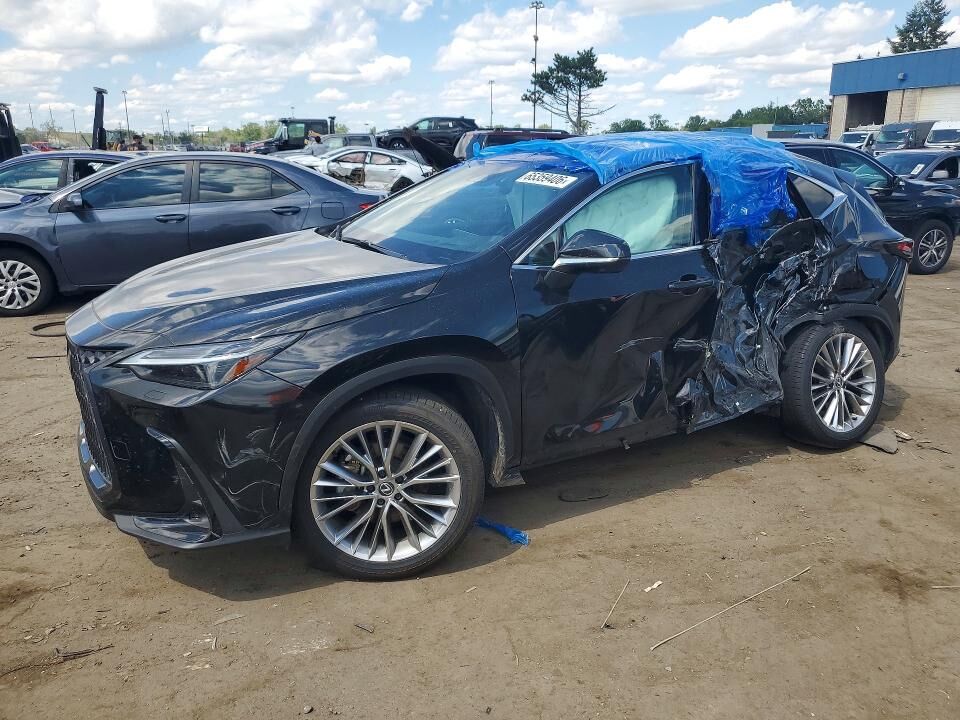 2025 LEXUS NX