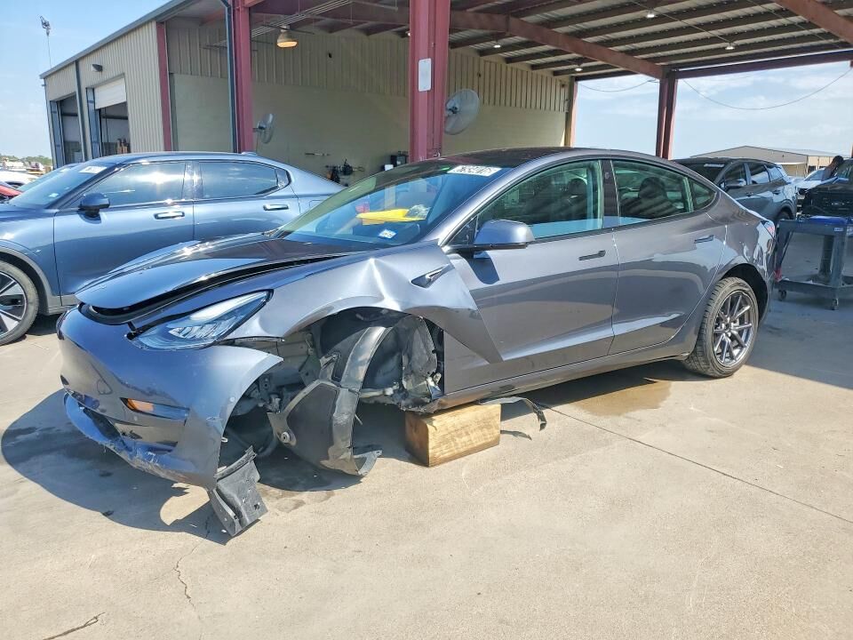 2019 TESLA Model 3