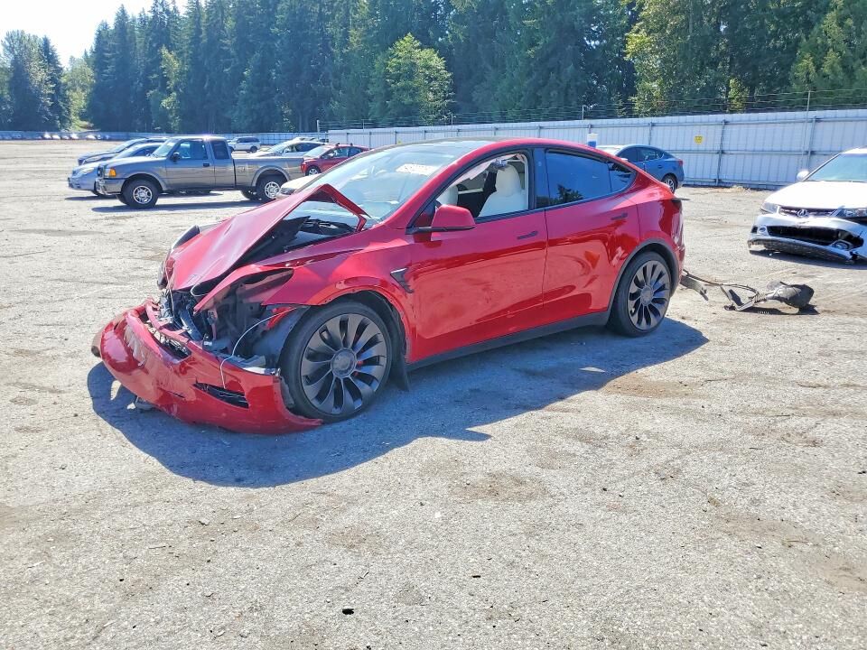 2023 TESLA Model Y