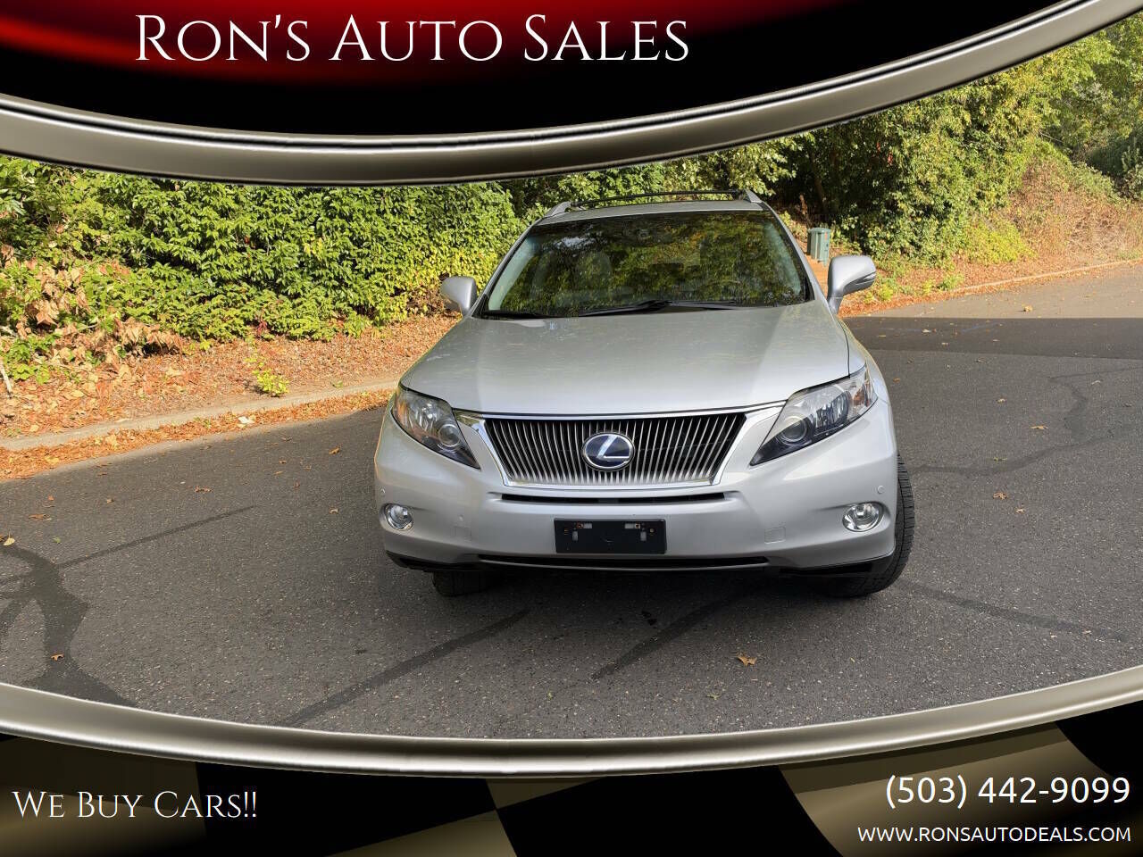 2010 LEXUS RX