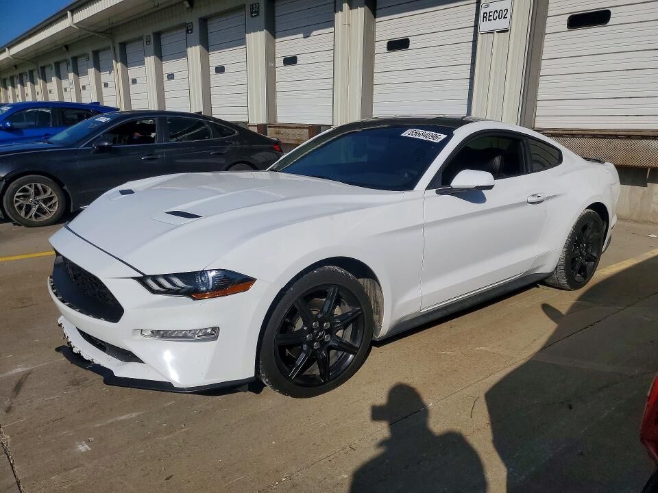2019 FORD Mustang