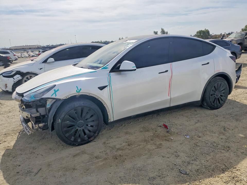 2021 TESLA Model Y