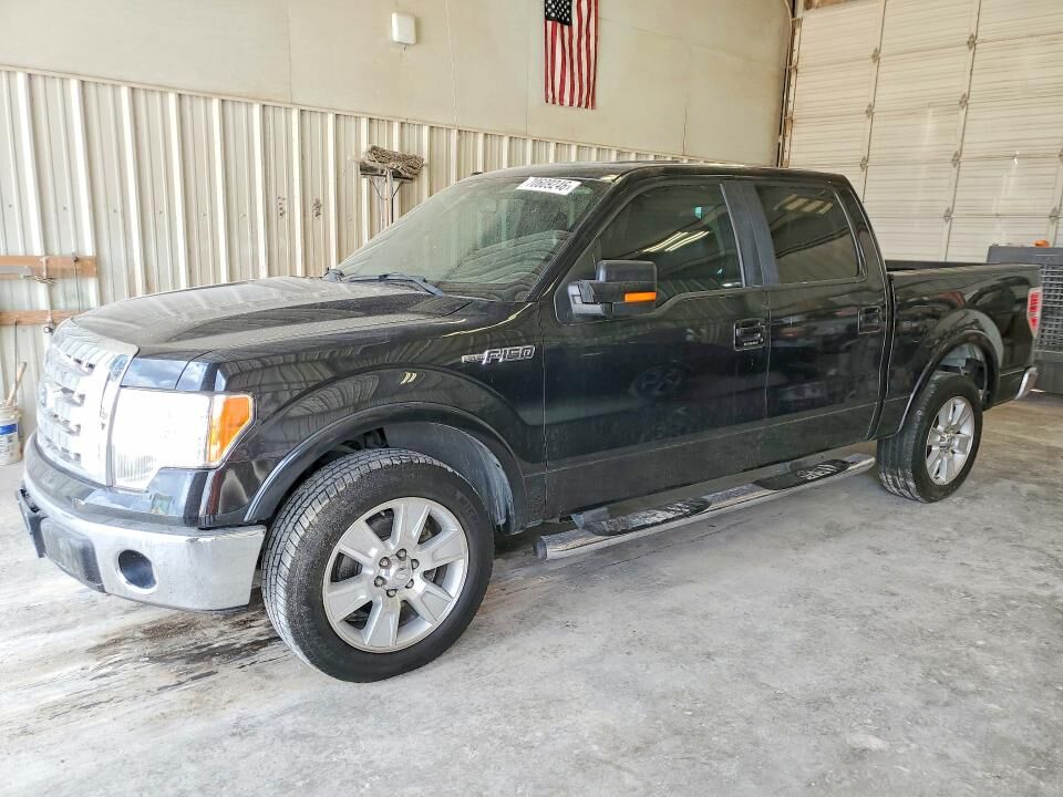 2010 FORD F-150