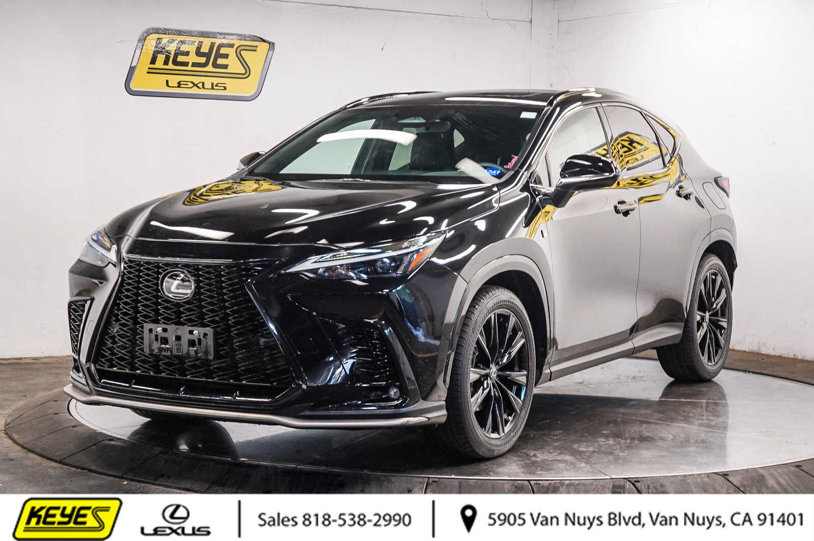 2024 LEXUS NX