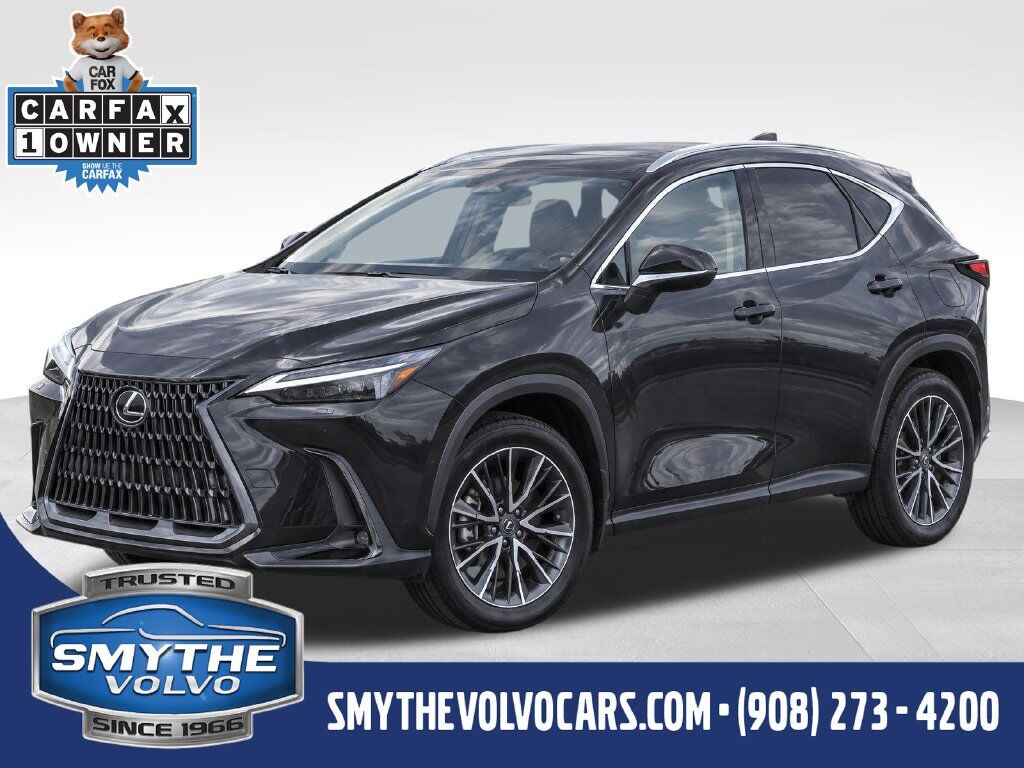 2025 LEXUS NX