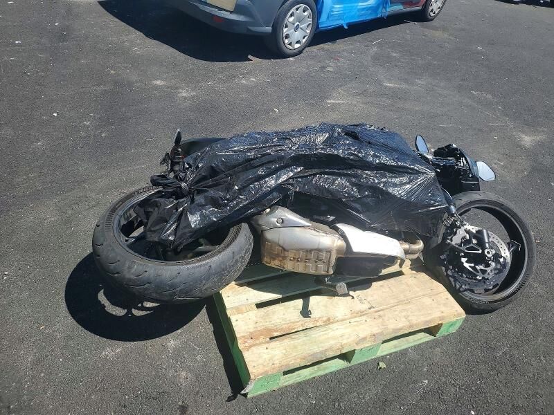 2025 TRIUMPH Daytona