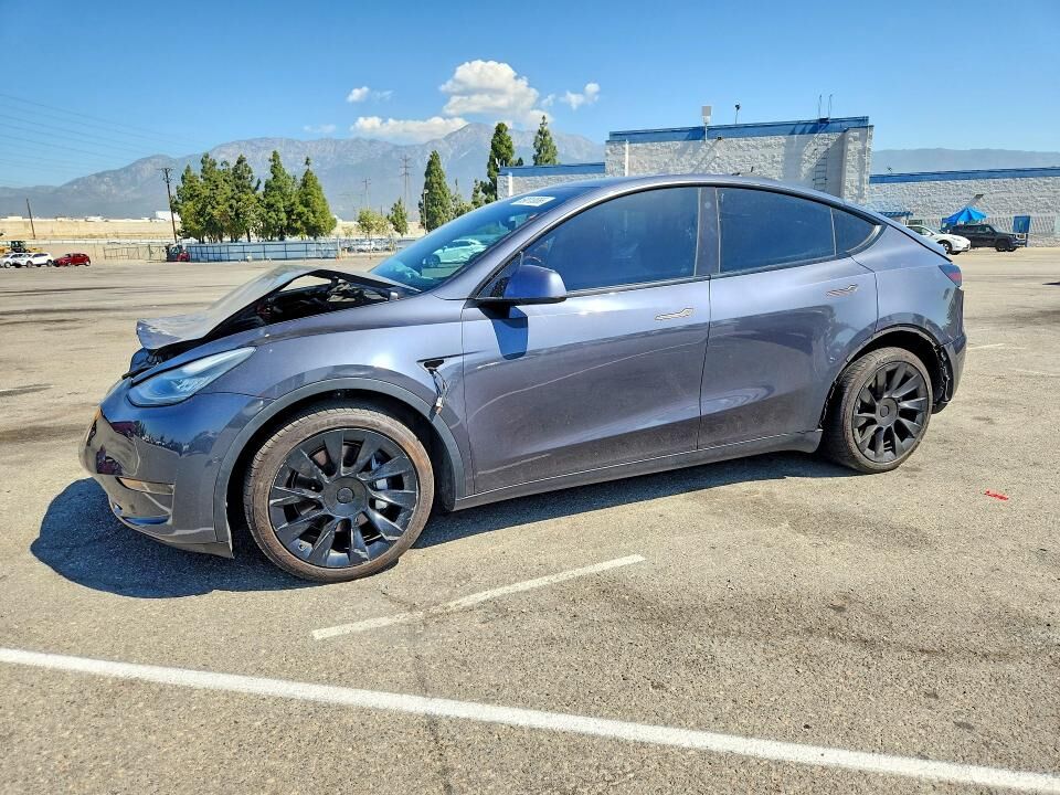 2021 TESLA Model Y