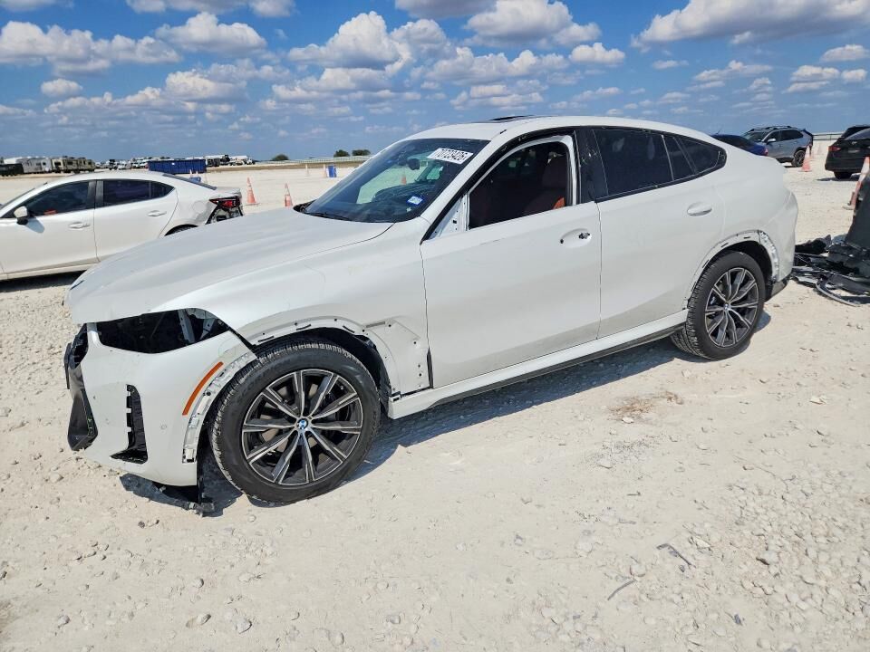 2026 BMW X6