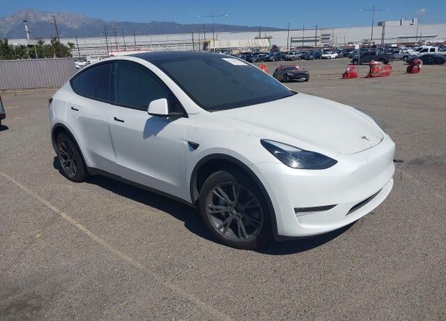 2024 TESLA Model Y