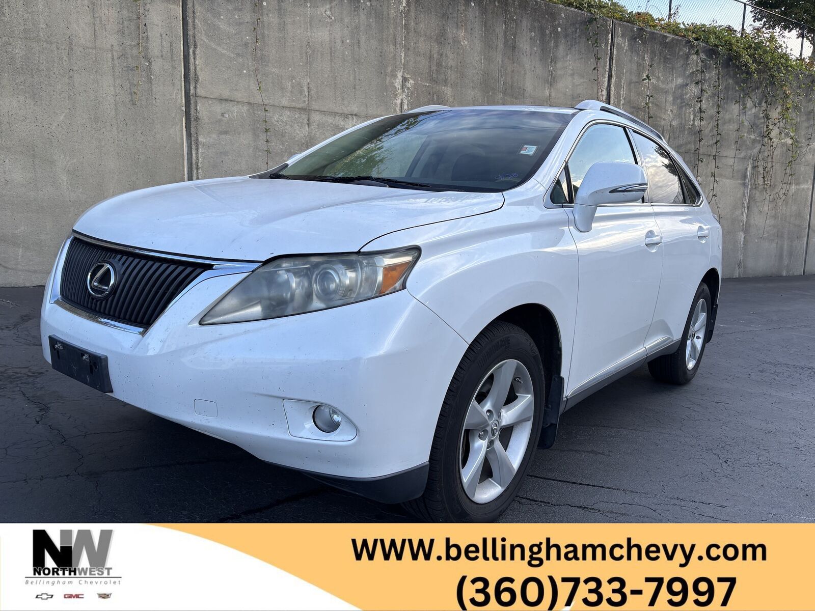 2010 LEXUS RX